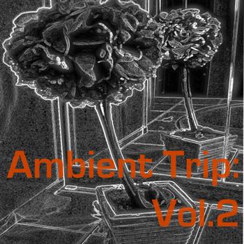 Various Artists - Ambient Trip: Vol.2