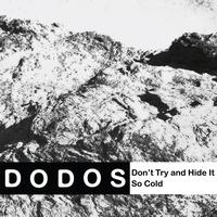 The Dodos - Don't Try and Hide It