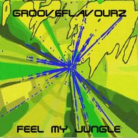 Grooveflavourz - Feel My Jungle
