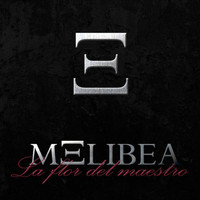 Melibea - La flor del maestro