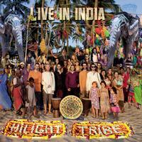 Hilight Tribe - Live in India