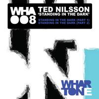 Ted Nilsson - Standing In The Dark