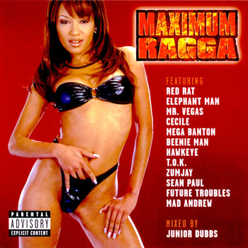 Junior Dubbs - Maximum Ragga, Vol. 1 (Explicit)