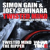 Simon Gain & Joey Seminara - Twisted Mind EP