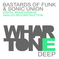 Bastards Of Funk & Sonic Union - Digital Brain Damage EP