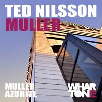 Ted Nilsson - Muller EP