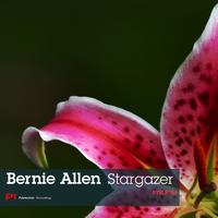 Bernie Allen - Stargazer