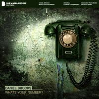 Daniel Brooks - Whats Your Number