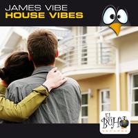 James Vibe - House Vibes