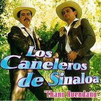 Los Caneleros de Sinaloa - Chano Avenano