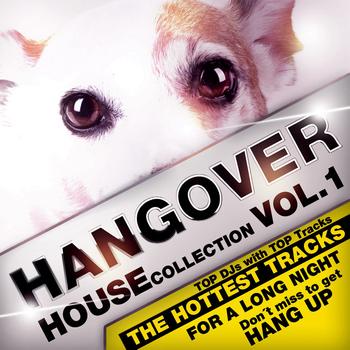 Various Artists - Hangover House Collection Vol. 1