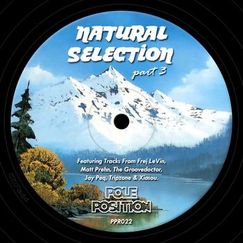 Various Artists - Natural Selection 3
