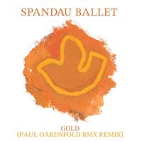 Spandau Ballet - Gold (Paul Oakenfold BMX Remix)