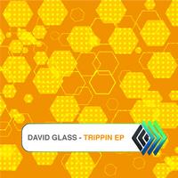 David Glass - Trippin EP