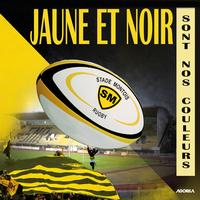 Brice Martin - Jaune et noir sont nos couleurs (Stade Montois Rugby)