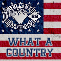 Bellamy Brothers - What a Country - EP