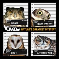The Four Owls - Nature's Greatest Mystery (Explicit)