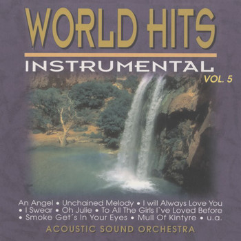 Acoustic Sound Orchestra - World Hits Instrumental