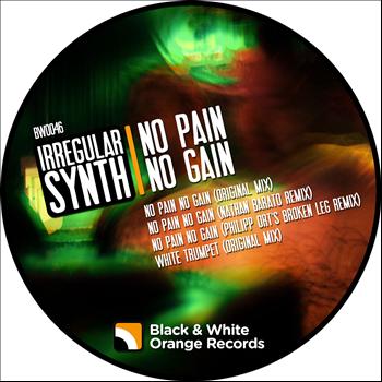 Irregular Synth - No Pain No Gain