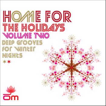 Various Artists - hOMe for the Holidays Volume Two