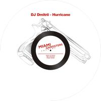 DJ Dmitrii - Hurricane