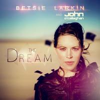 Betsie Larkin & John O'Callaghan - The Dream