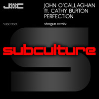 John O'Callaghan feat. Cathy Burton - Perfection