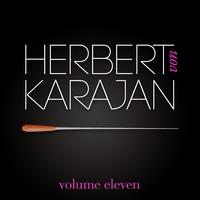 Herbert Von Karajan Collection - Herbert Von Karajan Vol. 11 : Les Valses De Vienne (Johann Strauss)