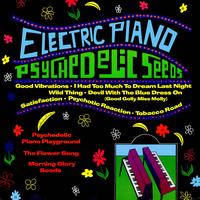 Electric Piano Playground - Psychedelic Seeds