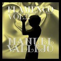Manuel Vallejo - Flamenco: Manuel Vallejo Vol.2