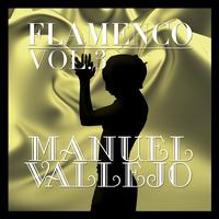 Manuel Vallejo - Flamenco: Manuel Vallejo Vol.3