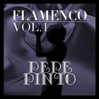 Pepe Pinto - Flamenco: Pepe Pinto Vol.1