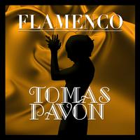 Tomás Pavón - Flamenco: Tomás Pavón