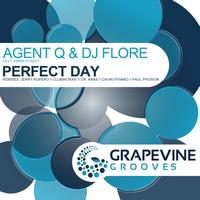 Agent Q, DJ Flore - Perfect Day