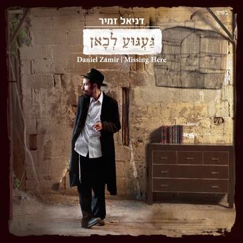 Daniel Zamir - Missing Here