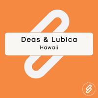 Deas & Lubica - Hawaii