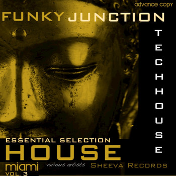 Various Artists - Funky Junction Essential Tech House Compilation