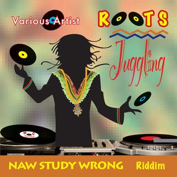 Various Artist - Roots Juggling