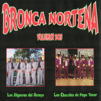 Los Jilgueros Del Arroyo - Bronca Nortena, Vol. 2