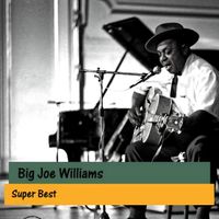Big Joe Williams - Super Best