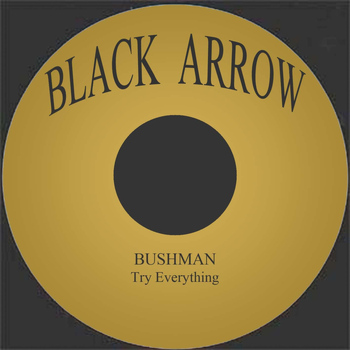 Bushman - Try Everything