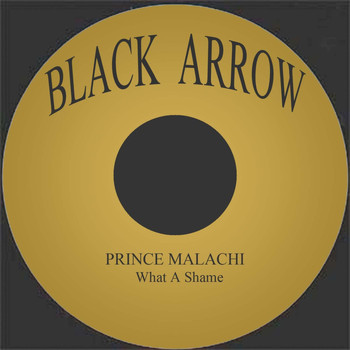 Prince Malachi - What A Shame