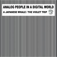 Analog People In A Digital World - A Japanese Whale the Violet Trip