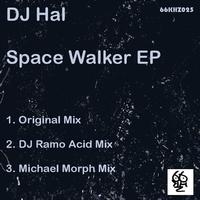 DJ Hal - Space Walker