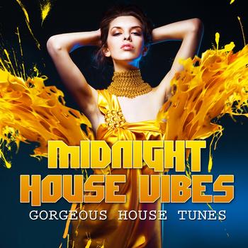 Various Artists - Midnight House Vibes, Vol. 4 (Gorgeous House Tunes)