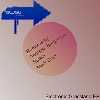 Maxizulu - Electronic Grassland EP