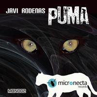 Javi Rodenas - Puma