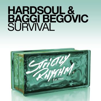 Hardsoul & Baggi Begovic - Survival