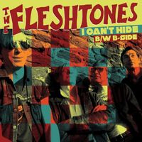 The Fleshtones - I Can't Hide