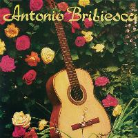 Antonio Bribiesca - Antonio Bribiesca